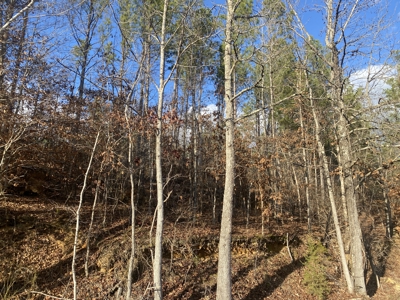 Land For Sale In Tn, 11.6 Acres+/- In Mcnairy County, Tn - image 6