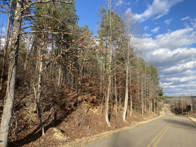 Land For Sale In Tn, 11.6 Acres+/- In Mcnairy County, Tn - image 7