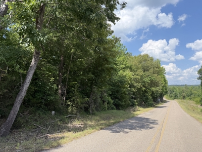 Land For Sale In Tn, 11.6 Acres+/- In Mcnairy County, Tn - image 18
