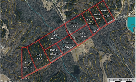 Land For Sale In Tn, 11.6 Acres+/- In Mcnairy County, Tn - image 13