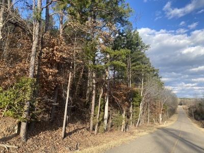 Land For Sale In Tn, 11.6 Acres+/- In Mcnairy County, Tn - image 9