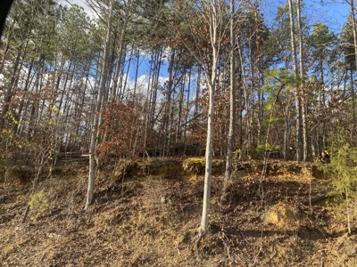 Land For Sale In Tn, 11.6 Acres+/- In Mcnairy County, Tn - image 8