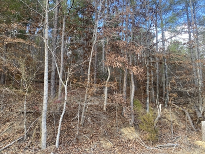 Land For Sale In Tn, 11.6 Acres+/- In Mcnairy County, Tn - image 11