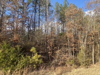 Land For Sale In Tn, 11.6 Acres+/- In Mcnairy County, Tn - image 2