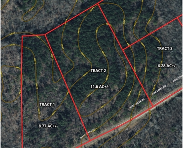 Land For Sale In Tn, 11.6 Acres+/- In Mcnairy County, Tn - image 1