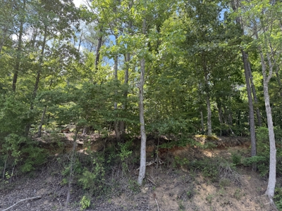 Land For Sale In Tn, 11.6 Acres+/- In Mcnairy County, Tn - image 19