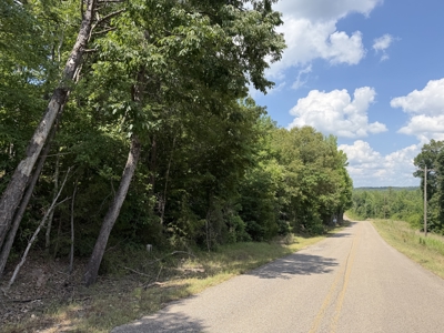 Land For Sale In Tn, 11.6 Acres+/- In Mcnairy County, Tn - image 15