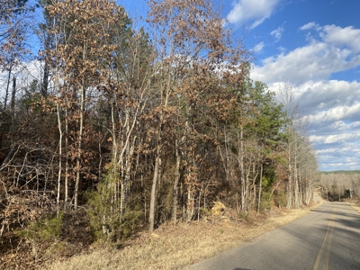 Land For Sale In Tn, 11.6 Acres+/- In Mcnairy County, Tn - image 3