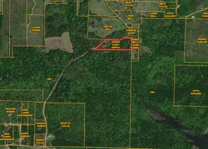 Land Near Lake Degray in Bismark Arkansas - image 2