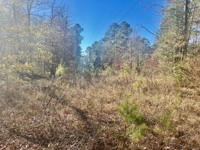 Land Near Lake Degray in Bismark Arkansas - image 10