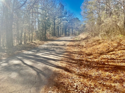 Land Near Lake Degray in Bismark Arkansas - image 7