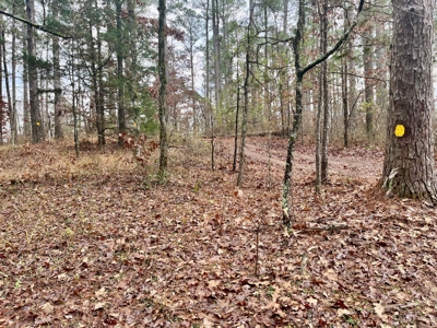 Land Near Lake Degray in Bismark Arkansas - image 6