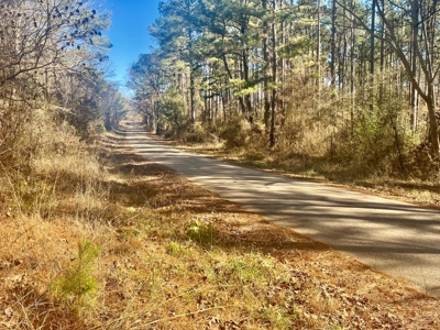 Land Near Lake Degray in Bismark Arkansas - image 8