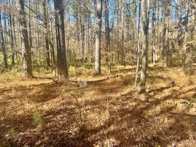 Land Near Lake Degray in Bismark Arkansas - image 9