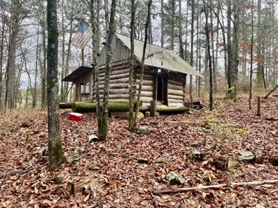 Land Near Lake Degray in Bismark Arkansas - image 4