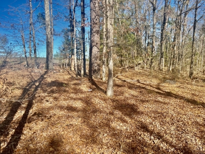 Land Near Lake Degray in Bismark Arkansas - image 11