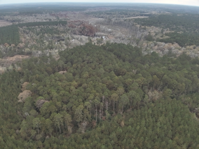 Recreational Timberland Opportunity Property for Sale - image 2