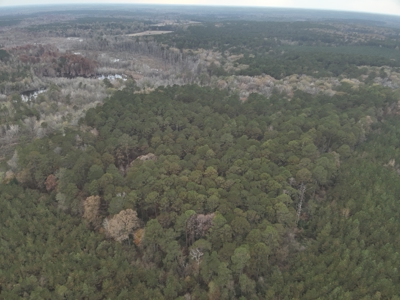 Recreational Timberland Opportunity Property for Sale - image 1