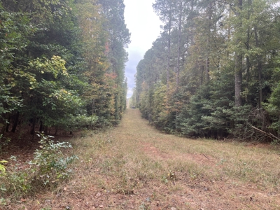 Recreational Timberland Opportunity Property for Sale - image 5