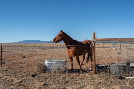 153 Acre Ranch for Sale in Estancia New Mexico - image 26