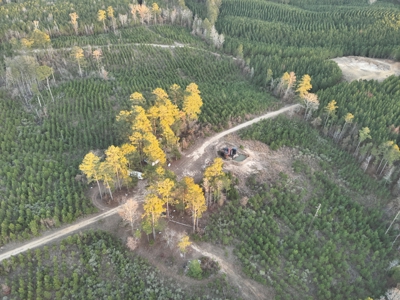 Lawson, AR Timberland Property Land for Sale - image 9