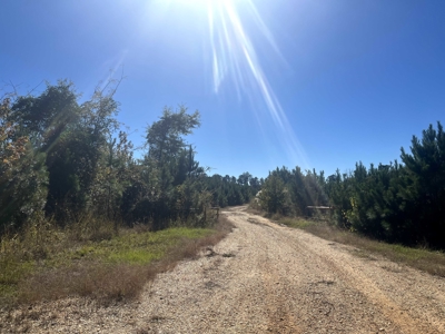 Lawson, AR Timberland Property Land for Sale - image 2