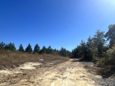 Lawson, AR Timberland Property Land for Sale - image 1