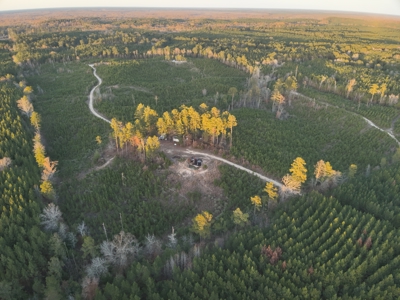 Lawson, AR Timberland Property Land for Sale - image 7
