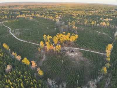 Lawson, AR Timberland Property Land for Sale - image 8