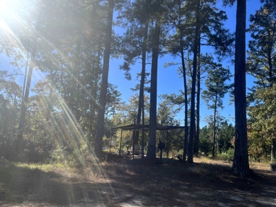 Lawson, AR Timberland Property Land for Sale - image 4