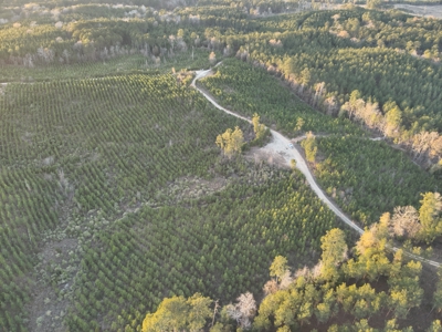 Lawson, AR Timberland Property Land for Sale - image 5
