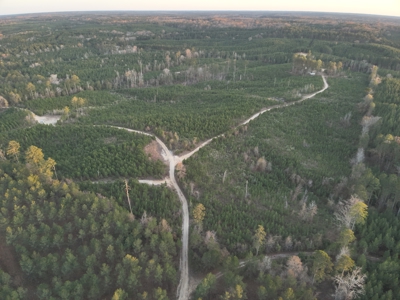 Lawson, AR Timberland Property Land for Sale - image 12