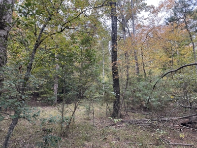 Pine Plantation Property for Sale Dallas County, AR - image 5