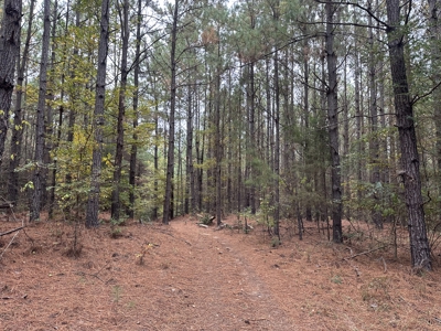 Pine Plantation Property for Sale Dallas County, AR - image 11