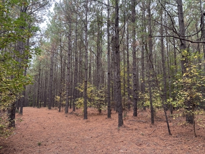 Pine Plantation Property for Sale Dallas County, AR - image 1