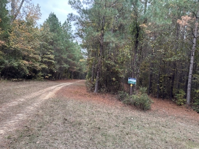 Pine Plantation Property for Sale Dallas County, AR - image 13
