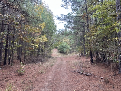 Pine Plantation Property for Sale Dallas County, AR - image 10