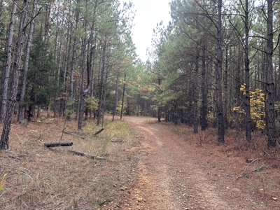 Pine Plantation Property for Sale Dallas County, AR - image 12