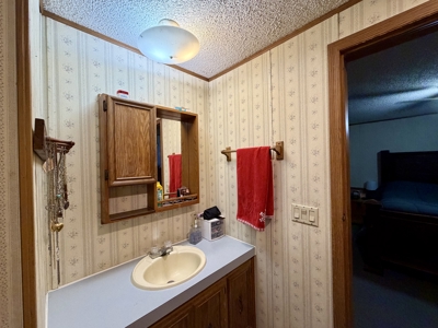 Move-In Ready Albia, Iowa Home For Sale - image 22