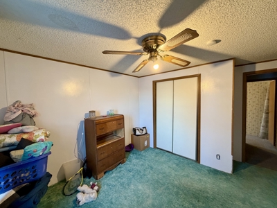 Move-In Ready Albia, Iowa Home For Sale - image 12