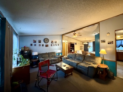 Move-In Ready Albia, Iowa Home For Sale - image 15