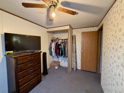 Move-In Ready Albia, Iowa Home For Sale - image 9