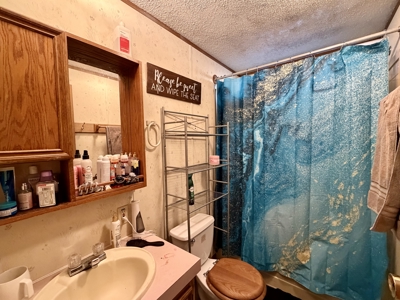 Move-In Ready Albia, Iowa Home For Sale - image 10