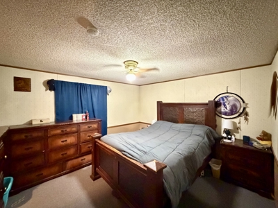 Move-In Ready Albia, Iowa Home For Sale - image 18