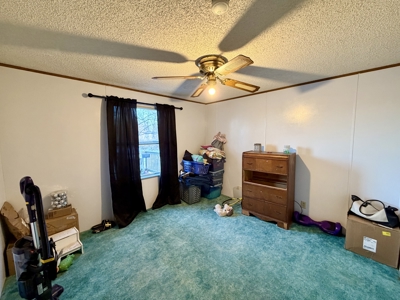 Move-In Ready Albia, Iowa Home For Sale - image 11
