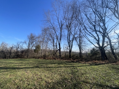 Warren Co. Home & 10.8 Acres Offered in 2 Lots @ Absolute Auction - image 11