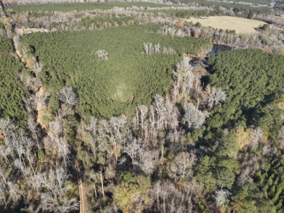 Recreational Opportunity Property in Nevada County, AR - image 1