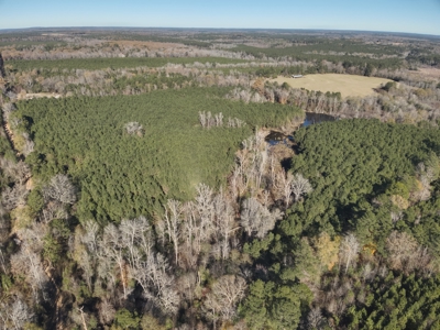 Recreational Opportunity Property in Nevada County, AR - image 16