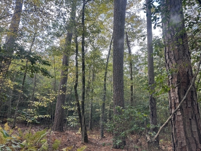 Recreational Opportunity Property in Nevada County, AR - image 31