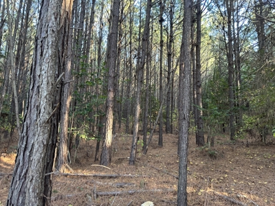 Recreational Opportunity Property in Nevada County, AR - image 19